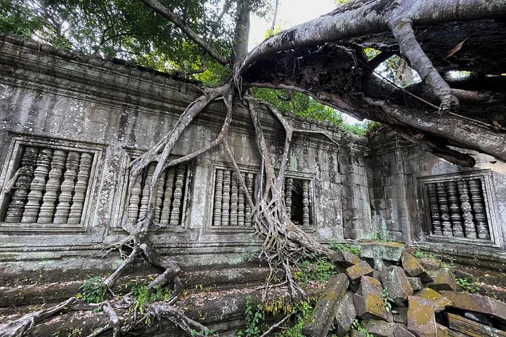 Massive tree roots growing over the stone walls and windows of a ruin